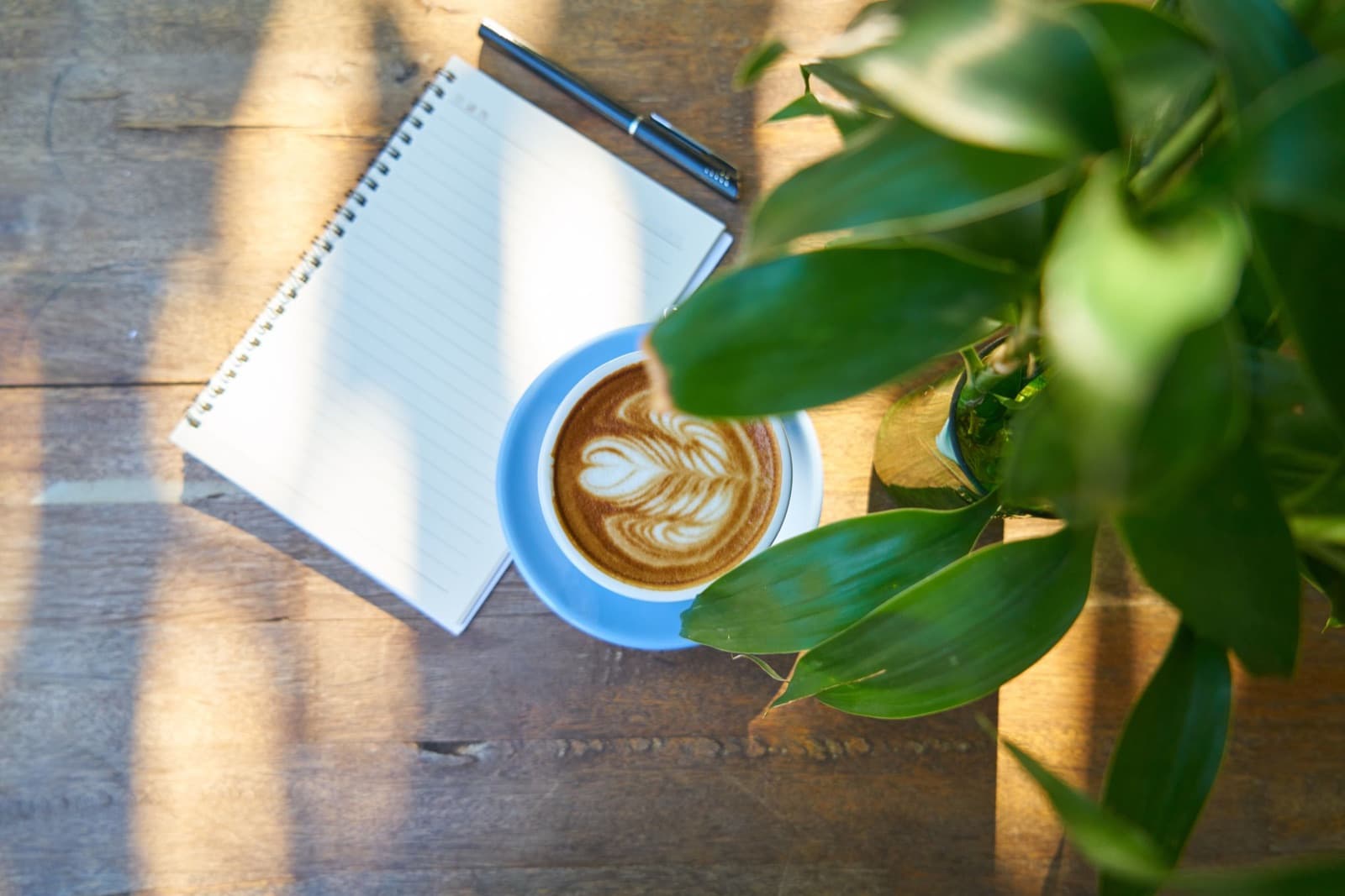 Overhead view of a blank spiral notebook, pen, and a latte in a blue cup on a sunlit wooden table beside a green plant