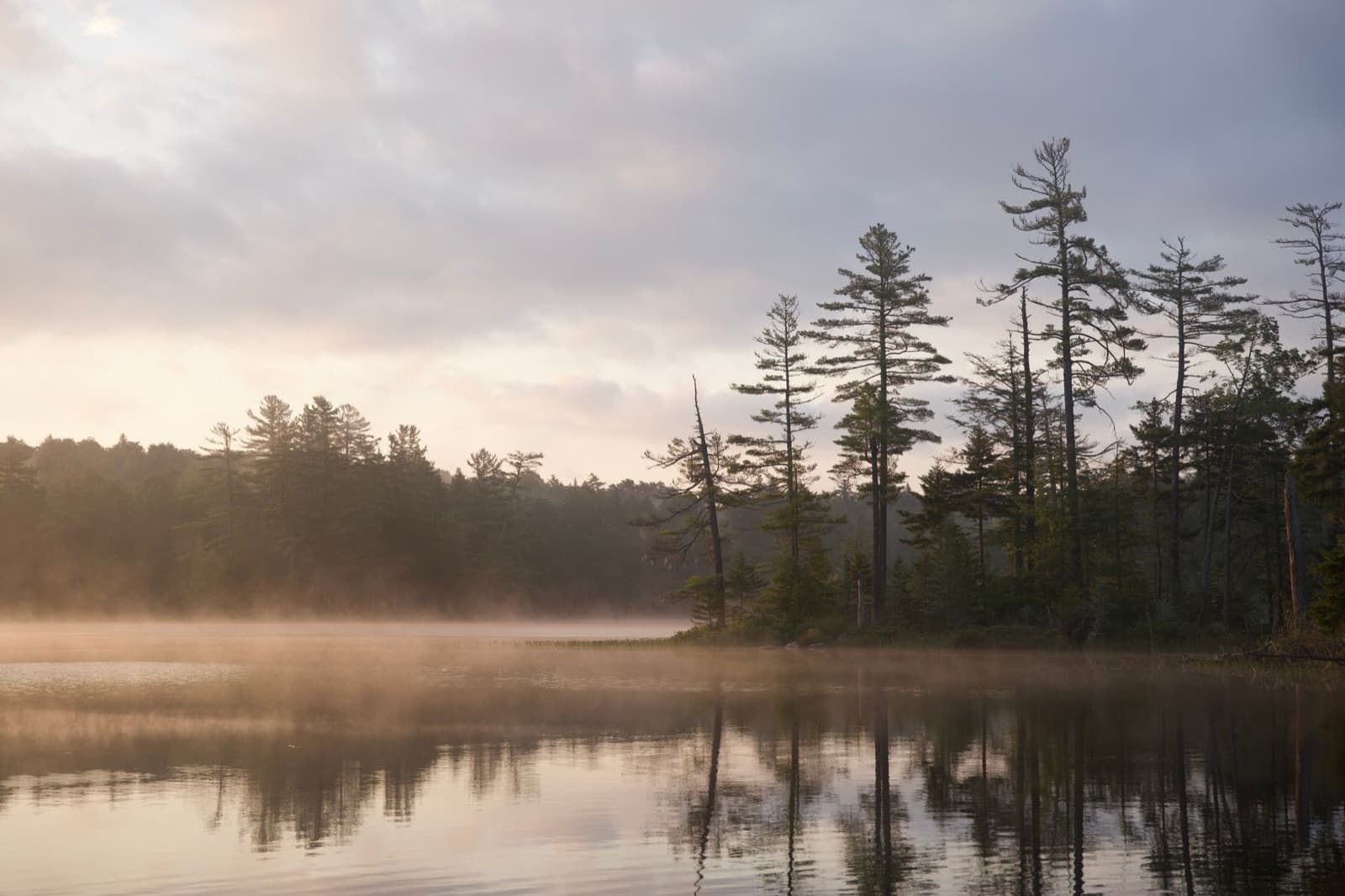 Morning mist rising over a still lake with tall pine trees reflected in the water